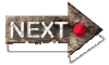 GO TO NEXT PAGE